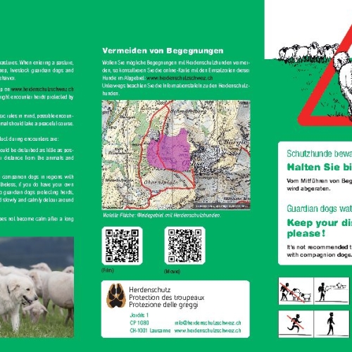 Flyer sichere Begegnung mit Herdenschutzhunden