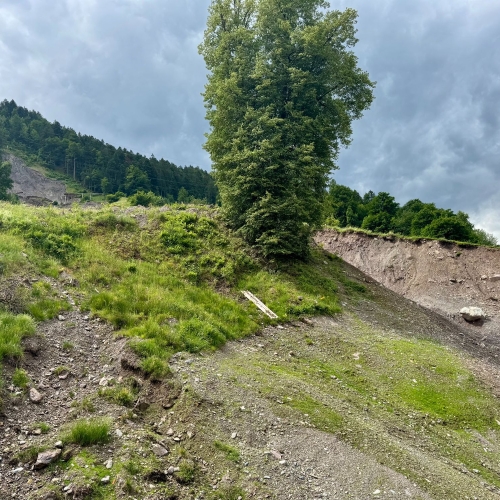 Murgang Schwanden_GL