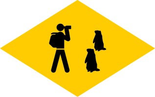 Rhombus «Murmeltiere»