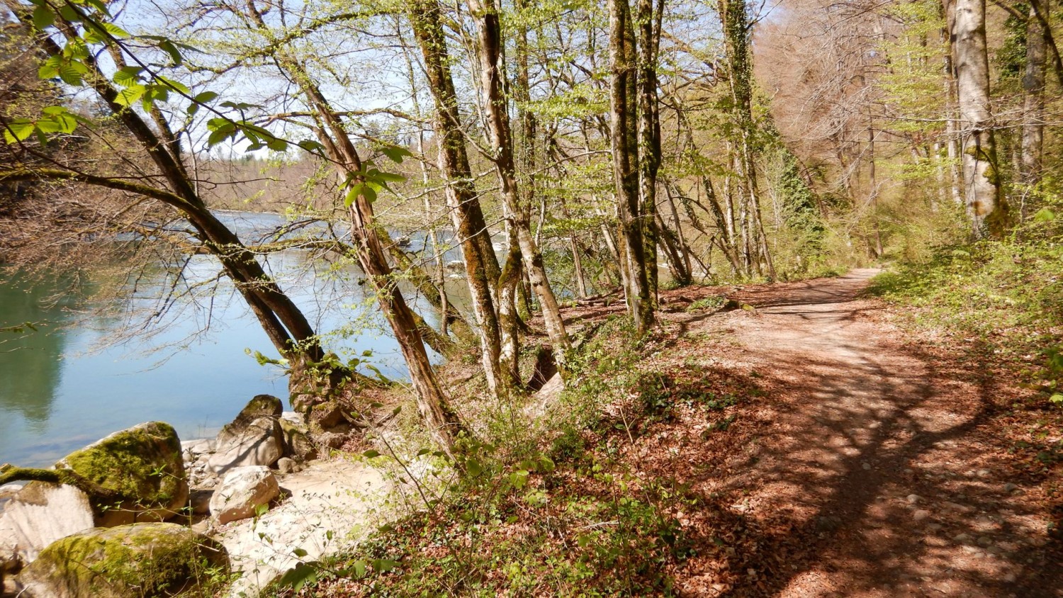 Sotto le fronde primaverili si scende lungo il fiume.