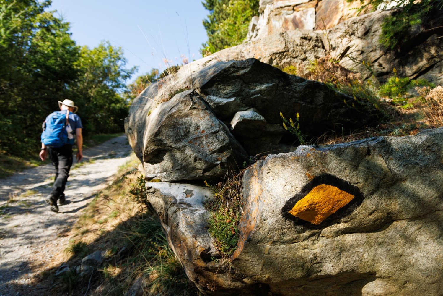Zu Beginn der Wanderung.