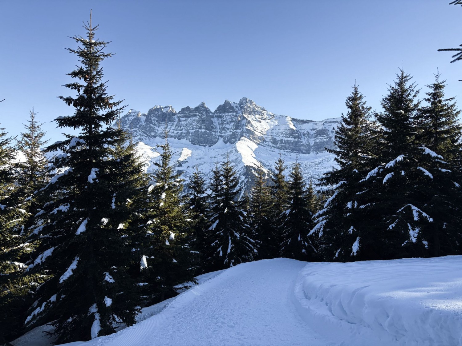 Durch ein kühles Waldstück folgt ein eher steiler Abstieg.