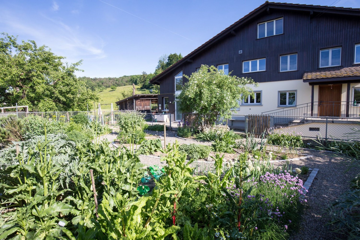 Nahrung, Genuss, Medizin: Die 89 Pflanzen im Karlsgarten bieten alles, um gesund zu bleiben.