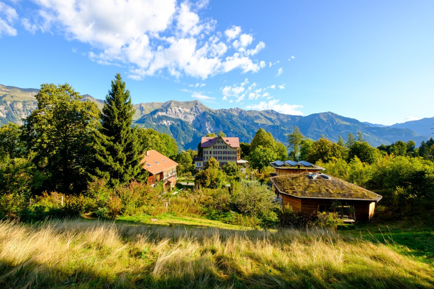 Auf dem parkähnlichen Gelände der Schweibenalp finden sich viele Nischen zum Innehalten.