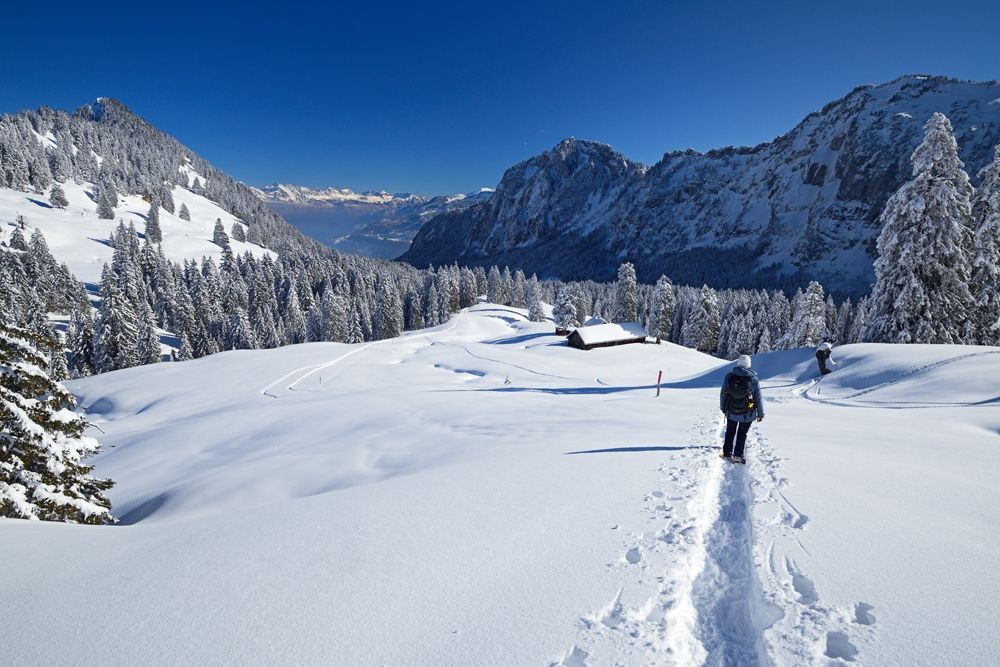 Links die Voralpen, rechts die Alpen, in der Mitte das Niederurner Tal.