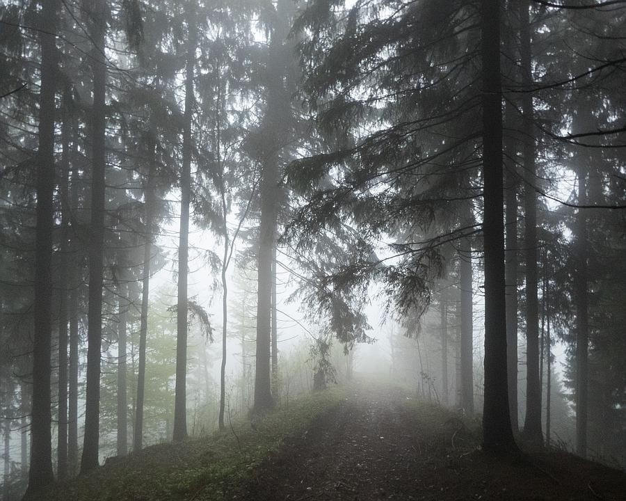 Foto: Fabian Béboux; FotoPate SchweizMobil