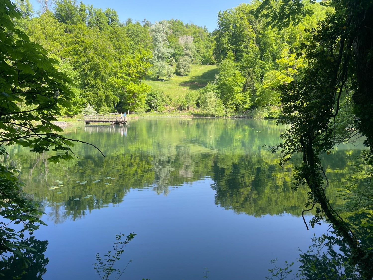 Malerischer Weiher in der Ermitage.