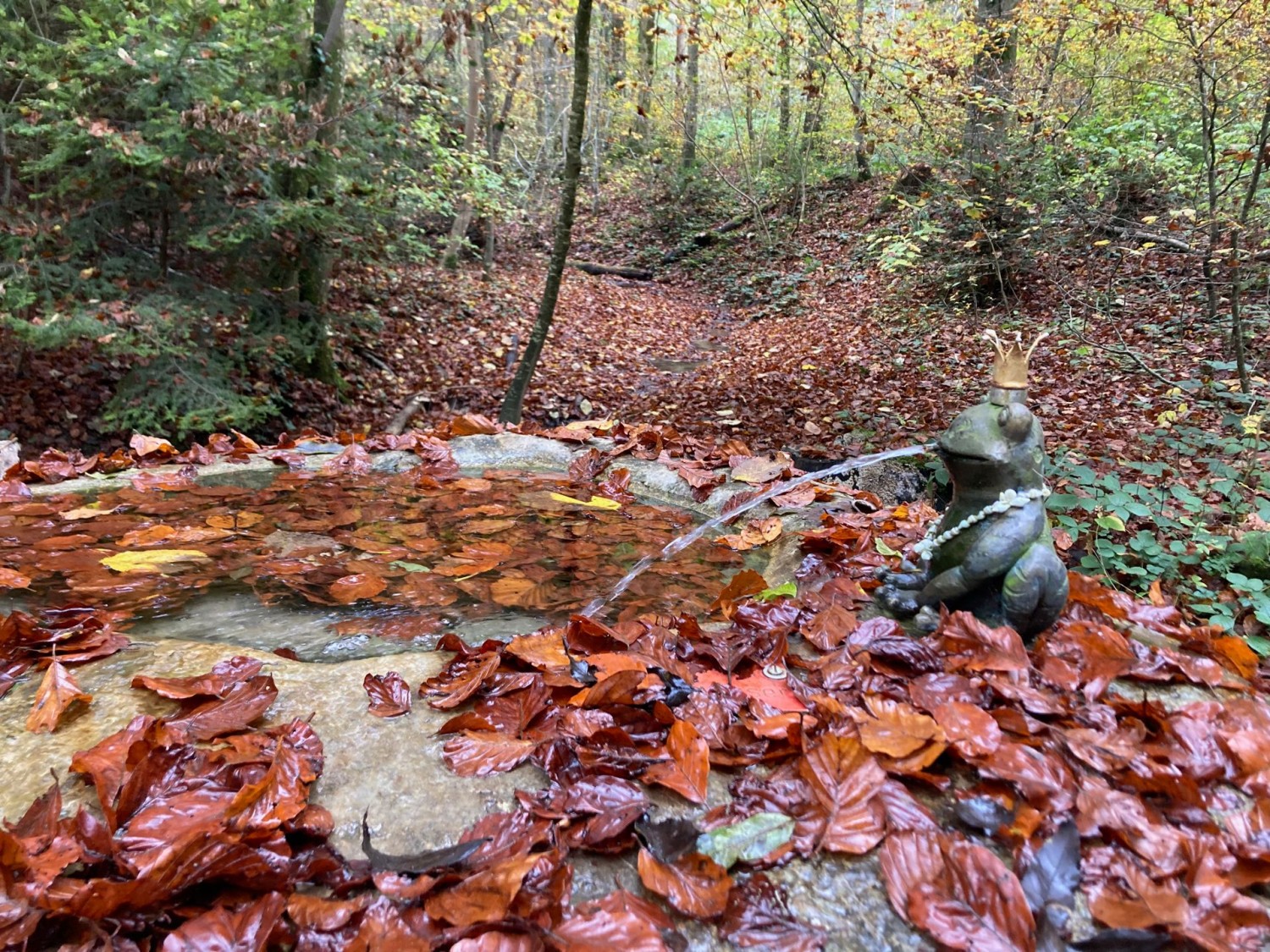 Ein Prinz bei Gockhausen im Wald