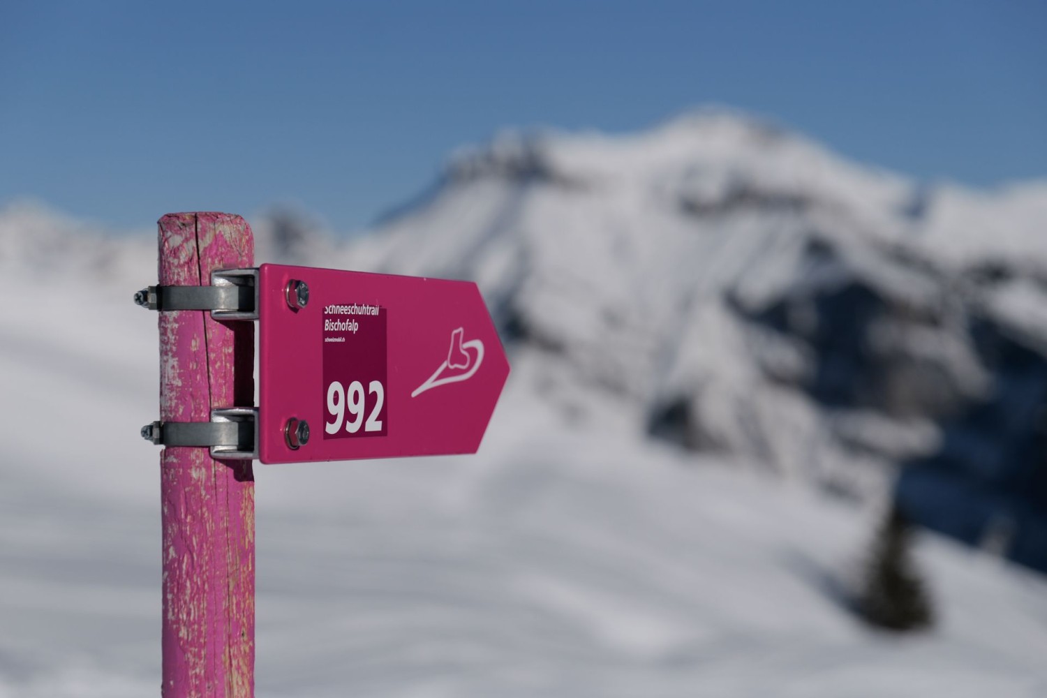 Wegweiser beim Matthüttli, dem höchsten Punkt der Tour.