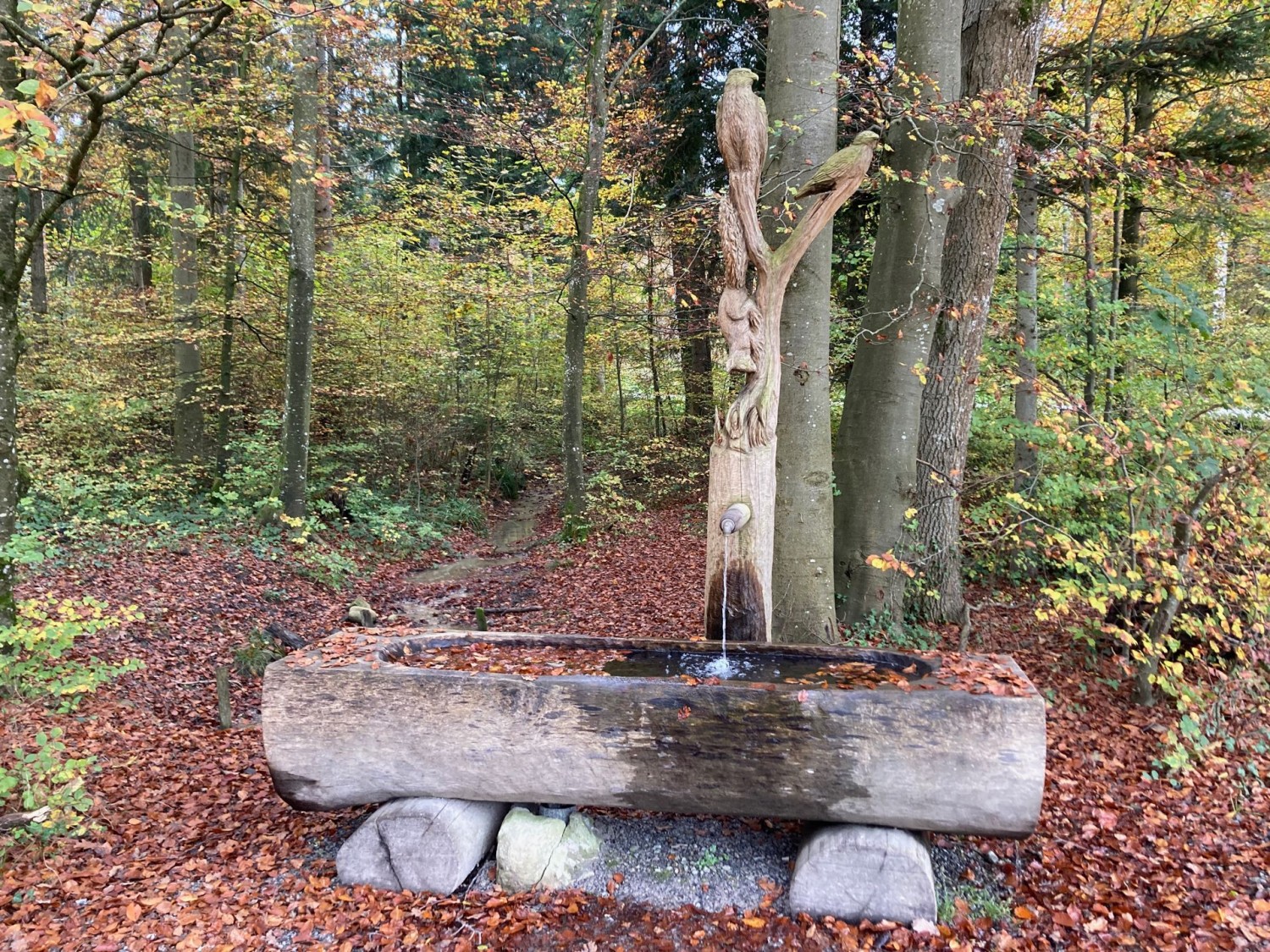 Brunnen im Wald bei Gockhausen