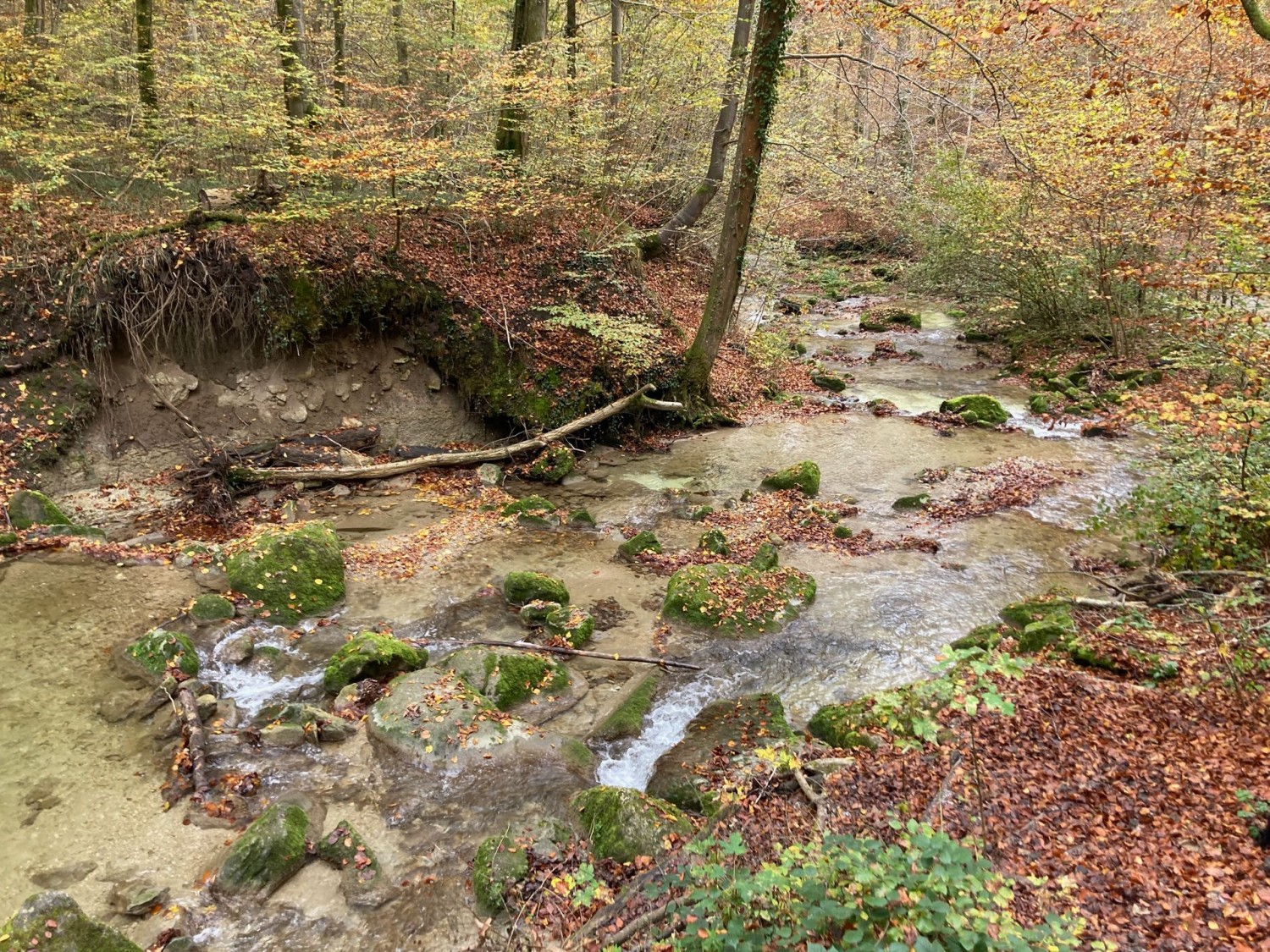 Am Wehrenbach