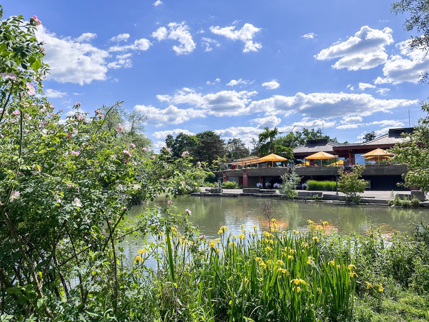 Blick aufs Restaurant Seegarten im Park im Grünen