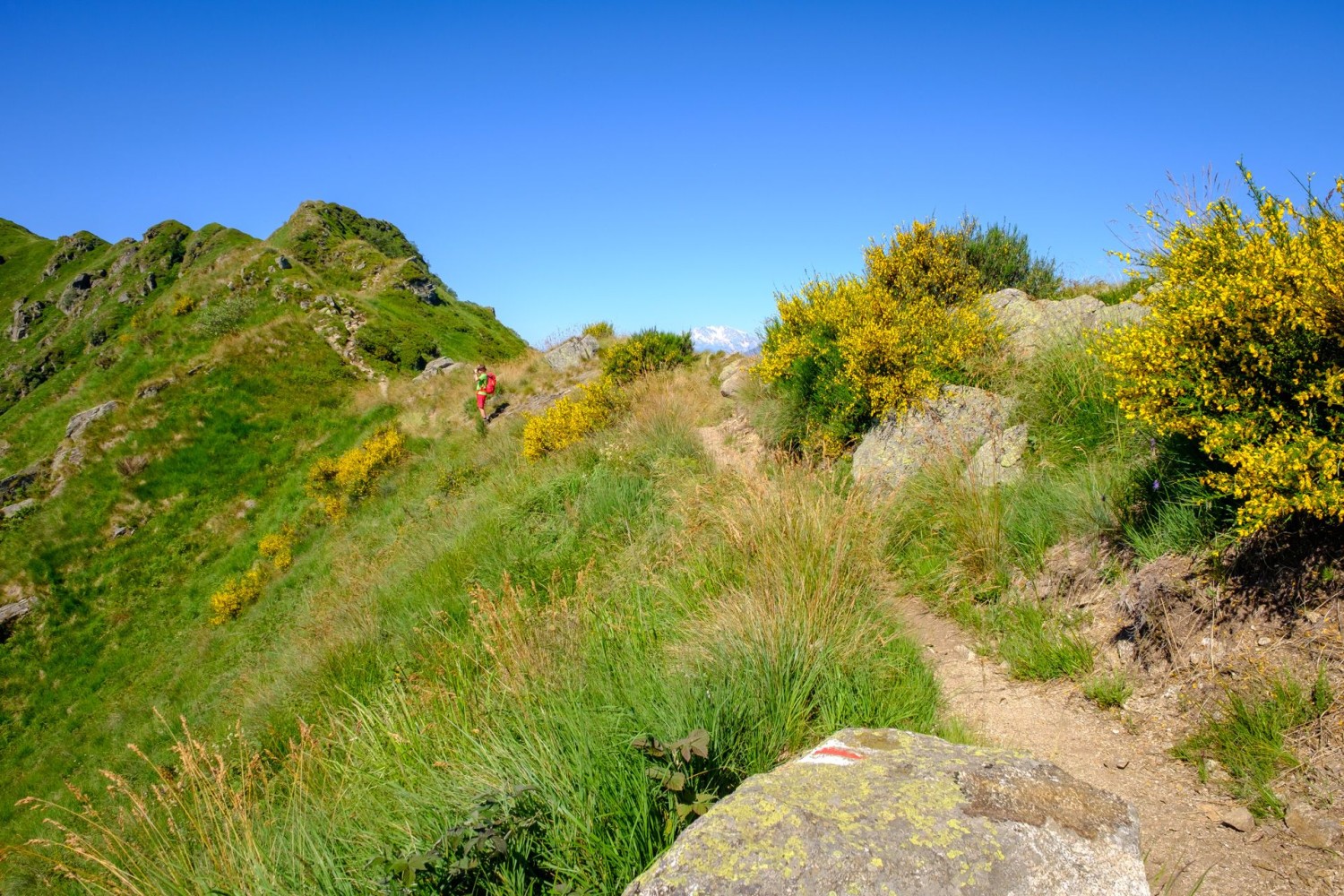 Der Gratweg ist gut ausgebaut.