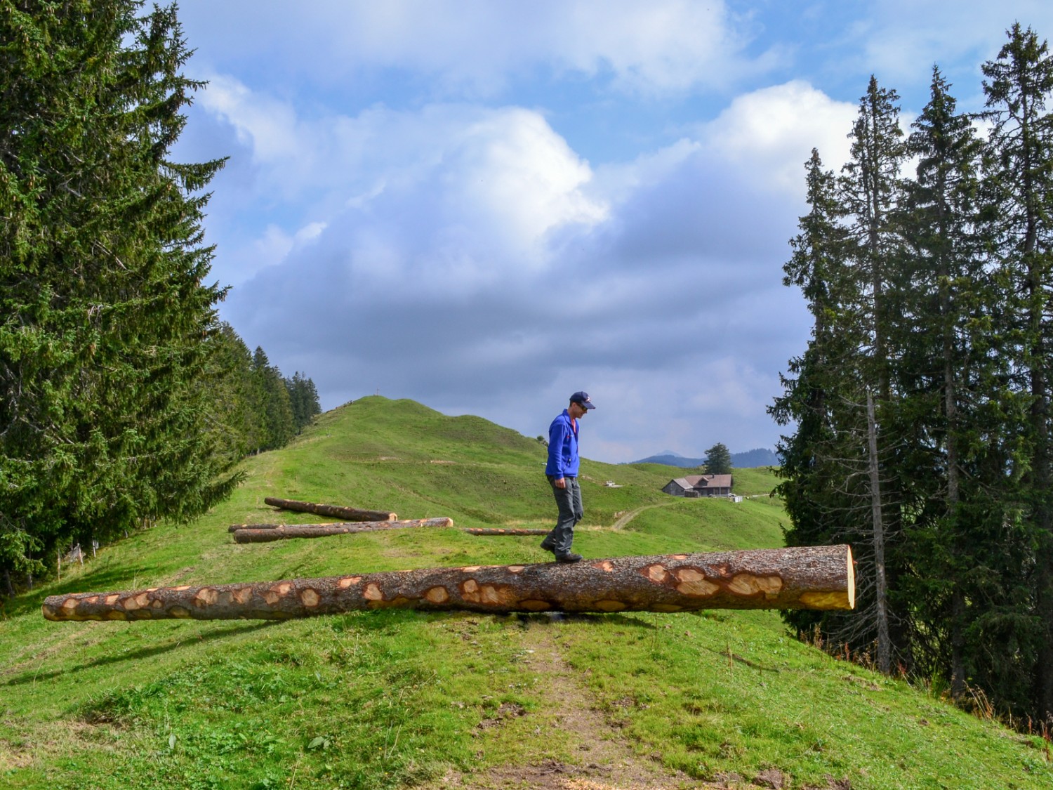 Près de l’alpe Näbikenalp. Photo: Sabine Joss
