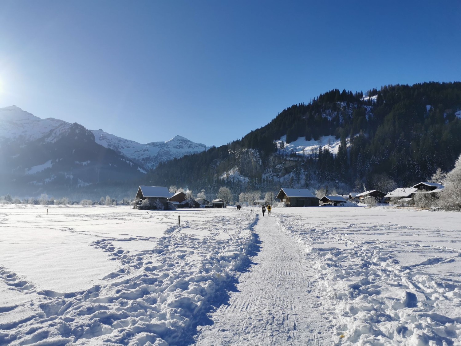 Zwischen Lenk und Lenkersee.