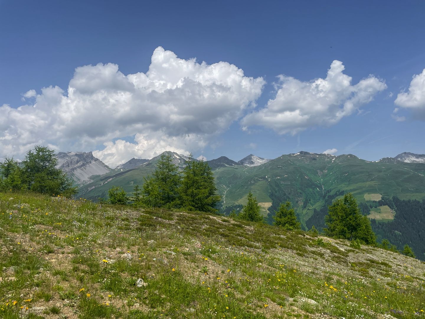 Rundwanderung aufs Rinerhorn