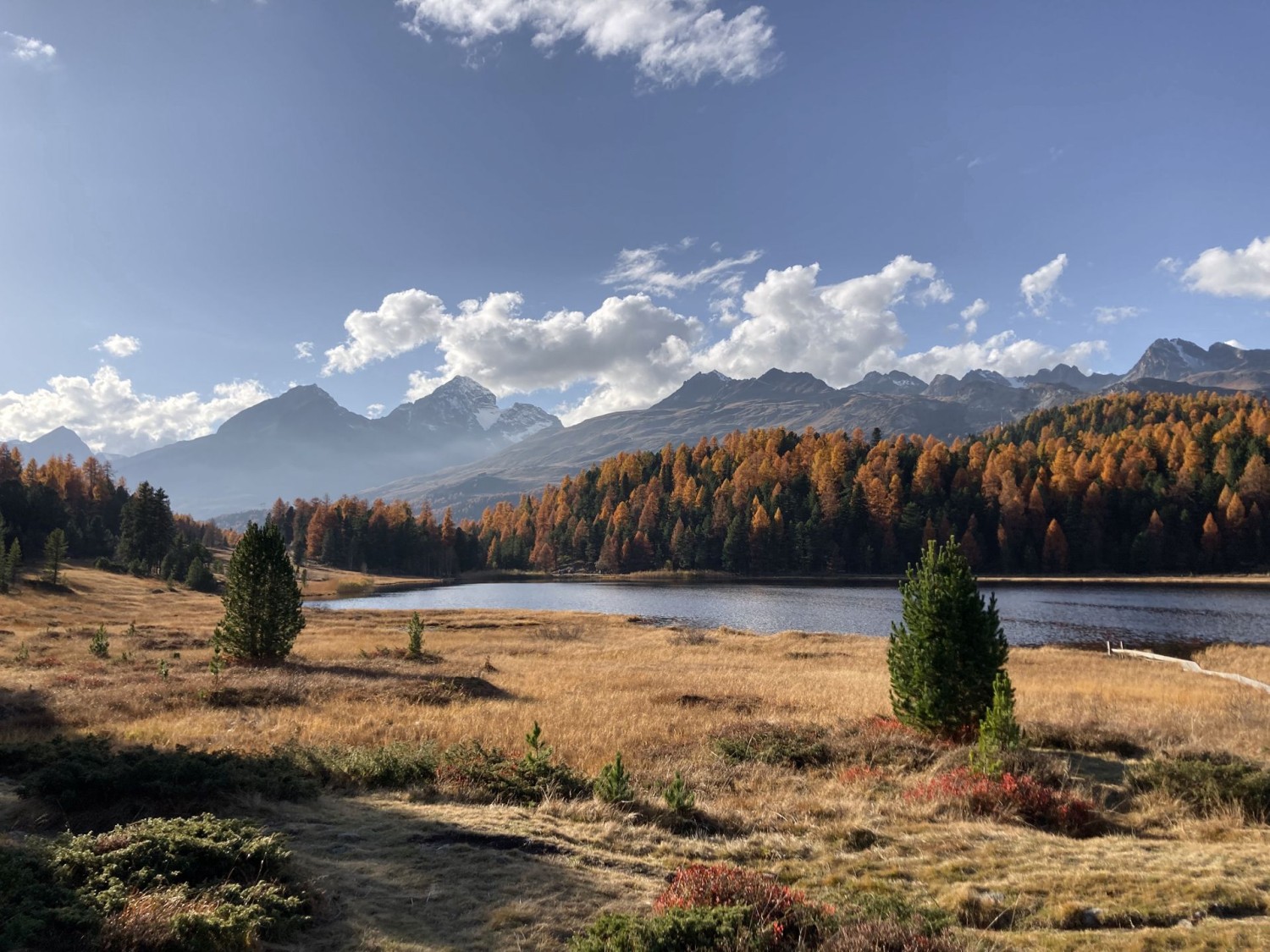 Herbst im Stazerwald