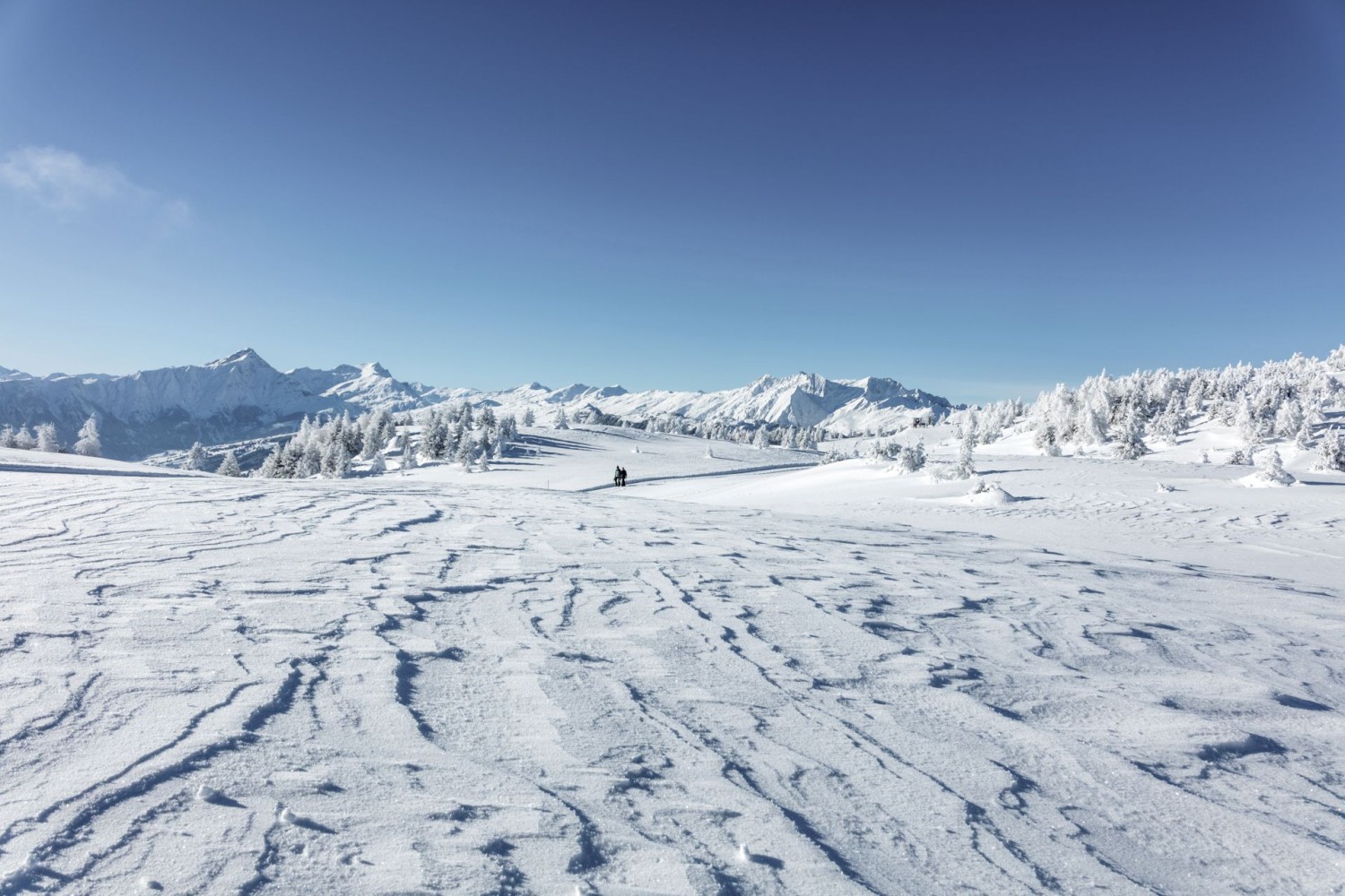 Aussicht links Richtung Domleschg und rechts Richtung Safiental und Heinzenberg.