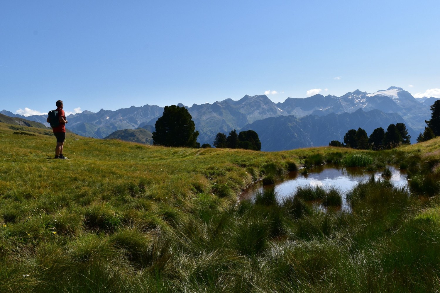 Die Wanderung führt durch das geschützte Hochmoor bei Dötra.