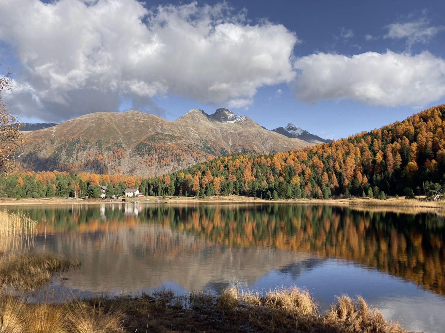 Blick Richtung Pontresina mit Piz Muragl und Piz Languard