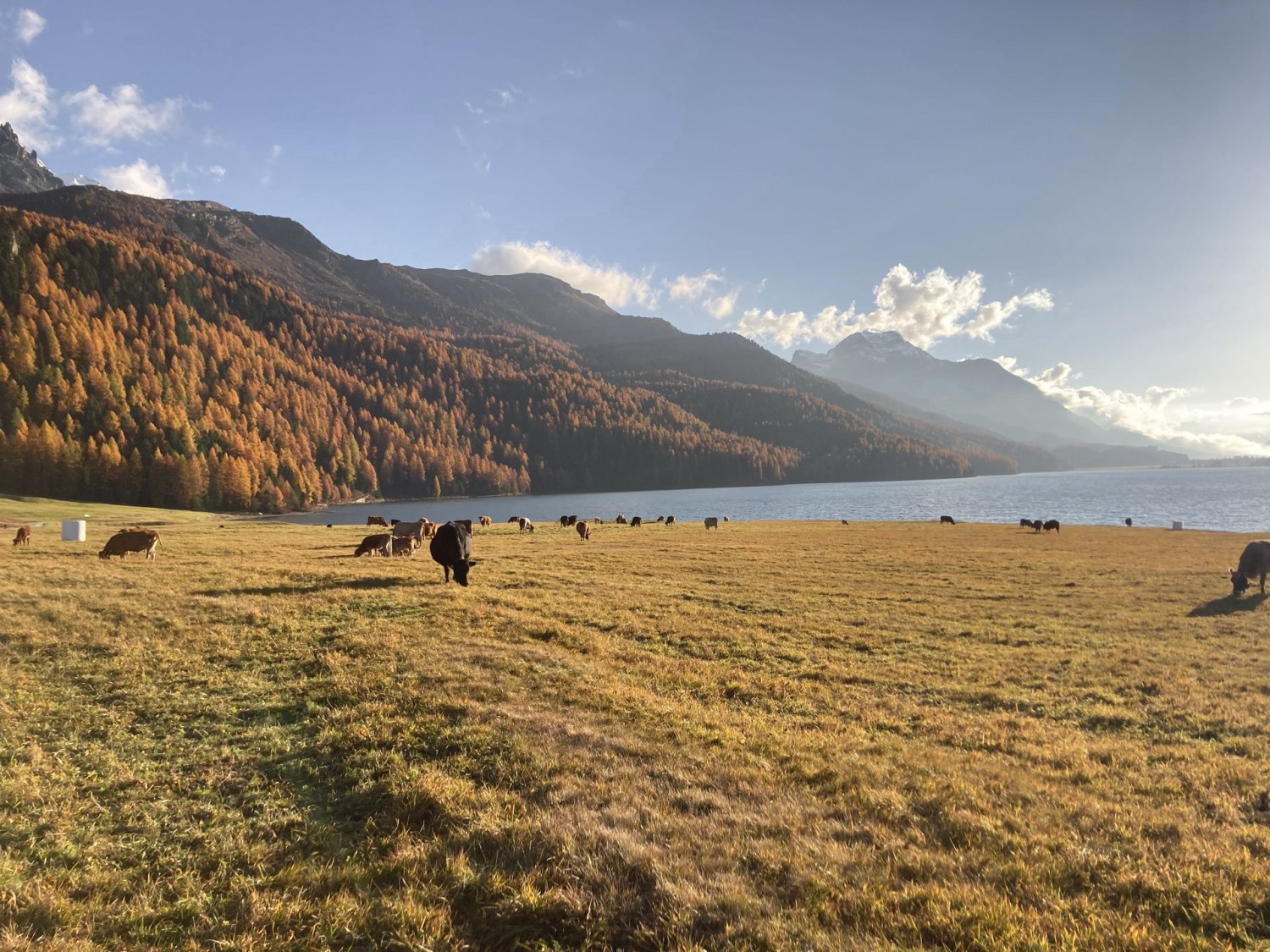 Am anderen Ende des Silvaplanersees liegt Sils.