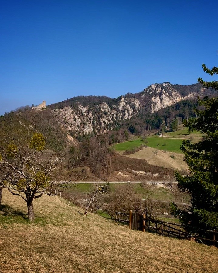 Burg Waldenburg und Felsen der Gerstelfluh