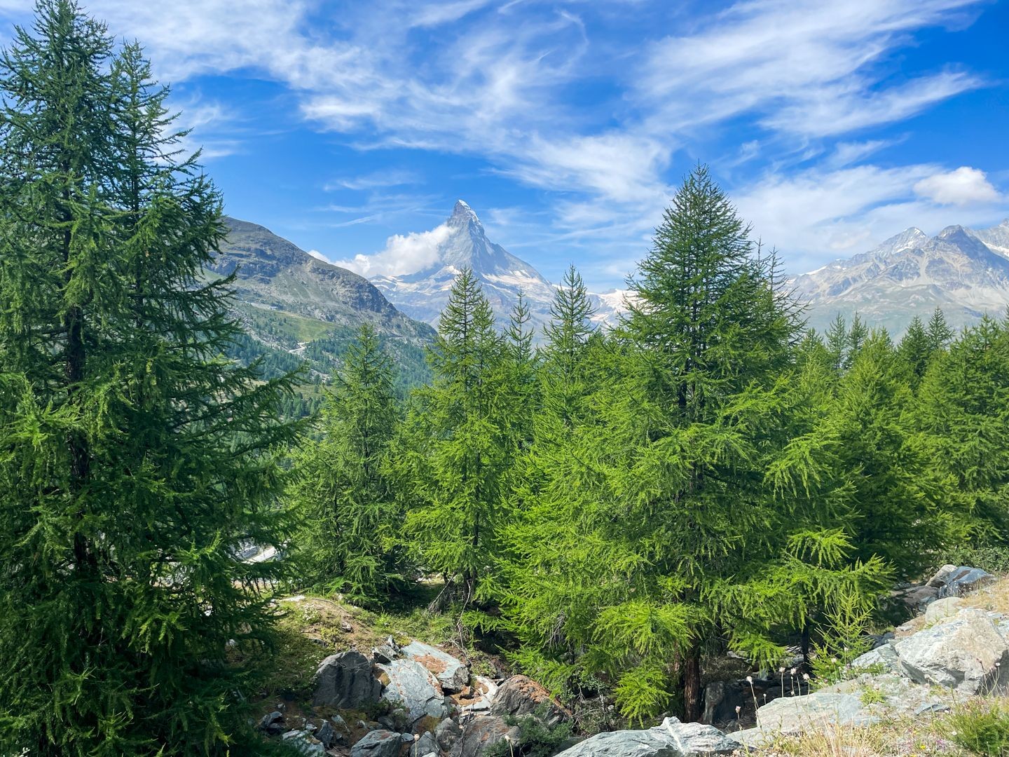 Durch lichte Lärchenwälder geht es weiter.