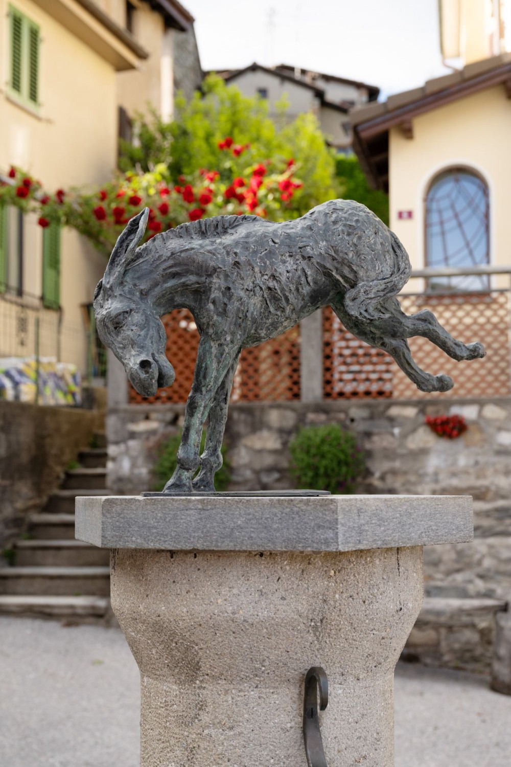 Il Mulo di Miglieglia scalcia verso Breno.