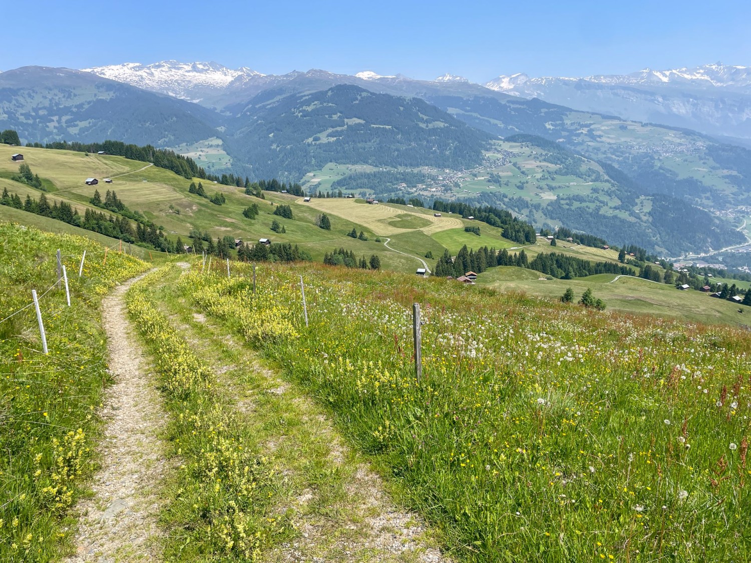 Montée à travers des prairies fleuries