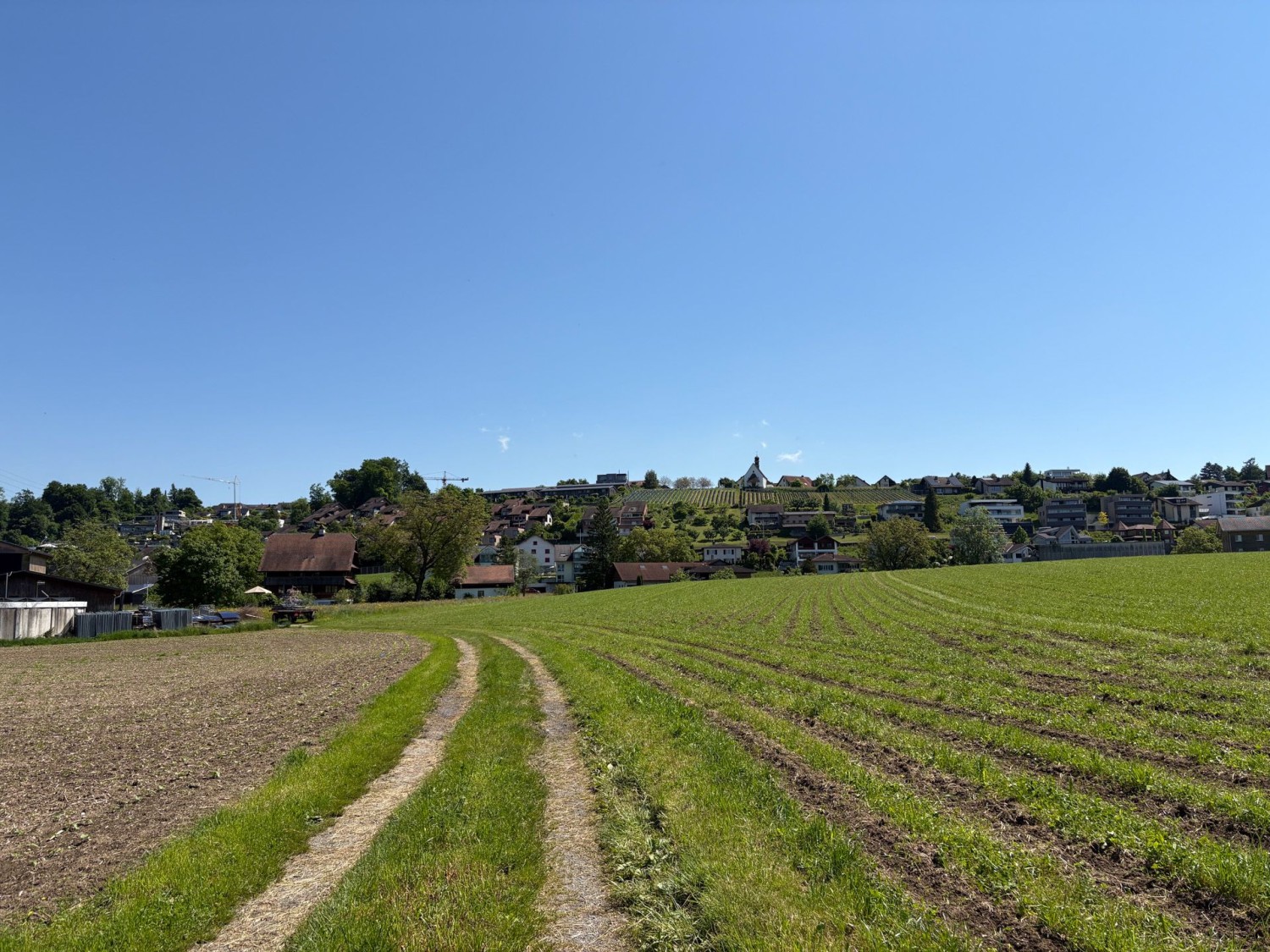 Ein Feldweg führt über die landwirtschaftlich genutzte Reussebene. Im Hintergrund Hünenberg.