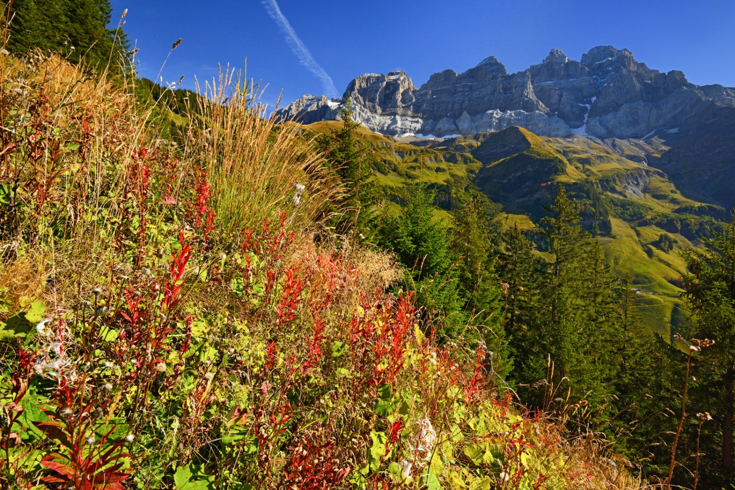 Der Blick reicht vom Val d’Illiez bis ins Rhonetal. Bild: natur-welten.ch