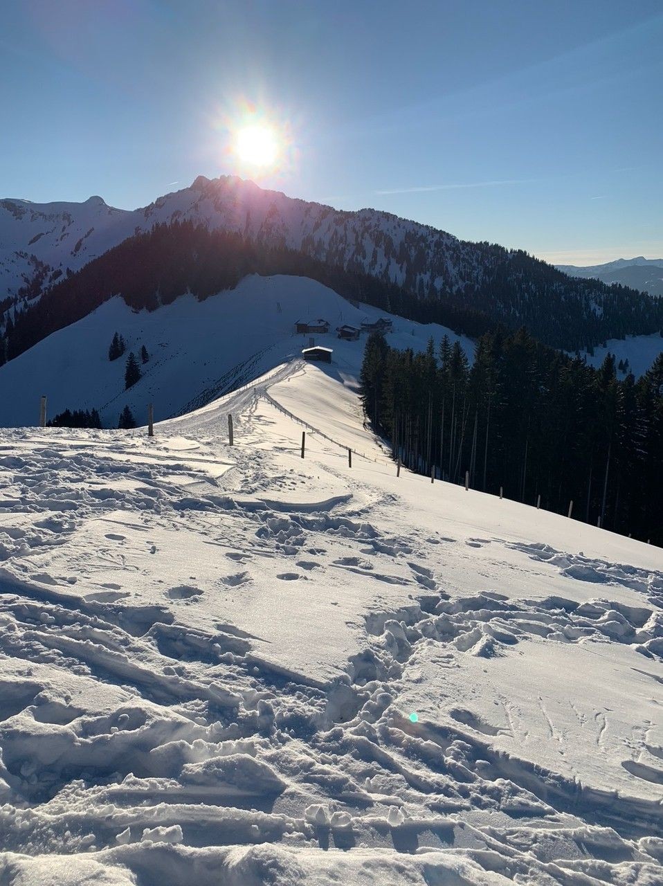 Foto: M. Grossrieder