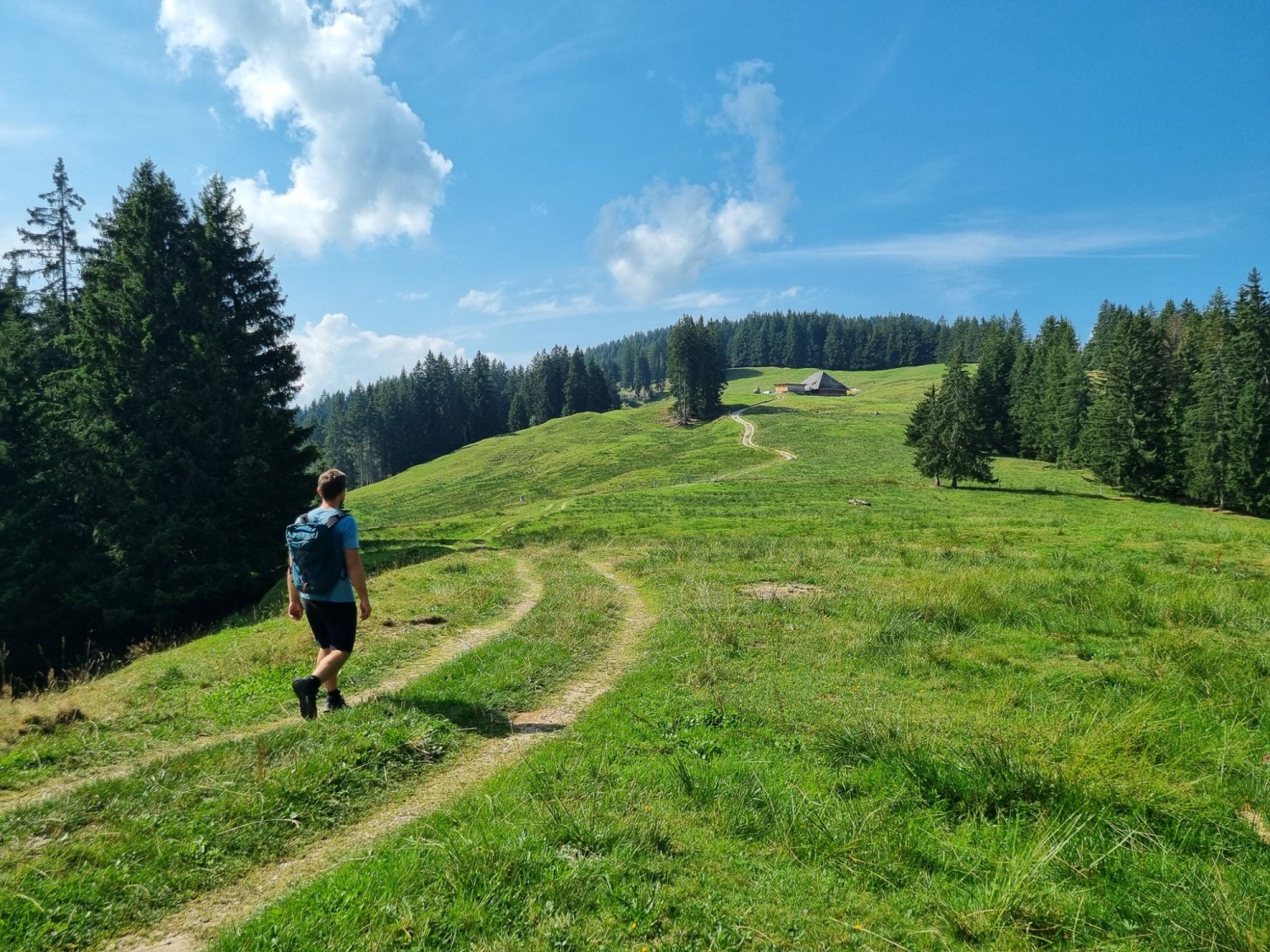 Nach dem steilen Aufstieg geht es sanfter bergauf.