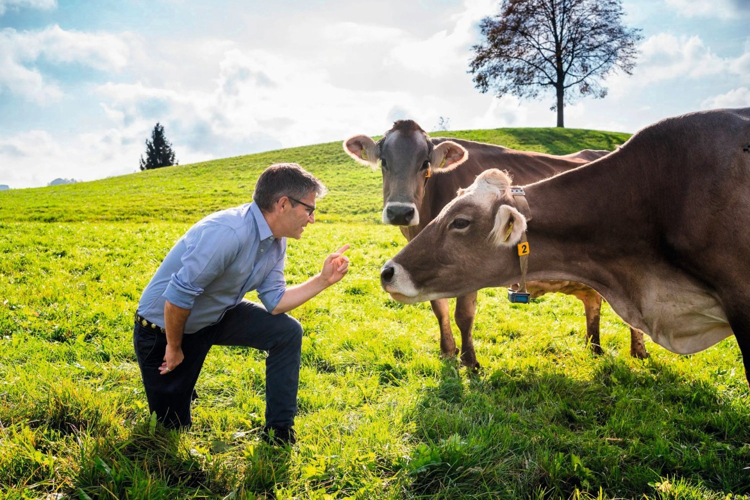 Christian Manser mit seinen Rindern