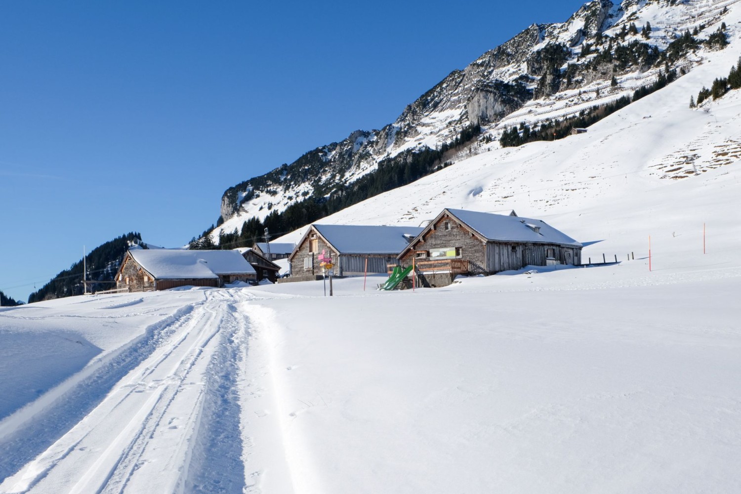 Strichbode: der höchste Punkt der Schneeschuhwanderung ist hier erreicht.