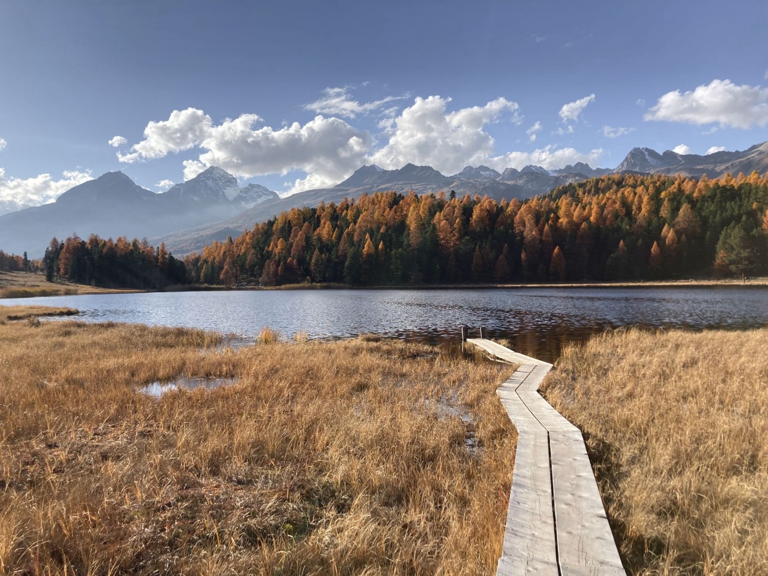 Herbstliche Stimmung am Lej da Staz