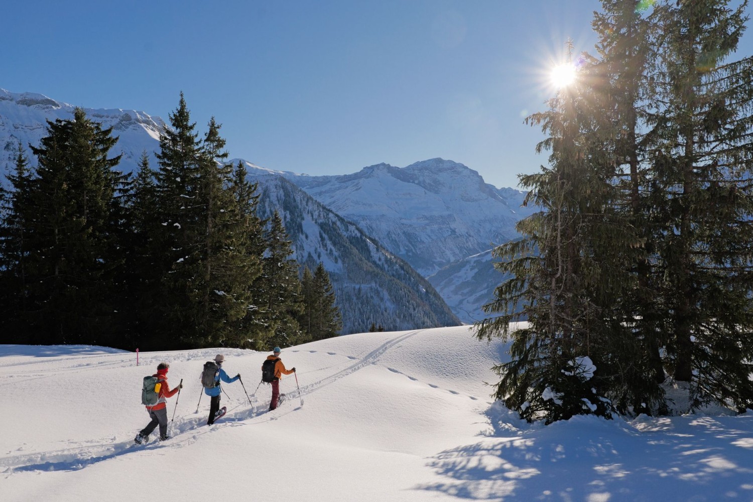 Abstieg bei Sattelberg.