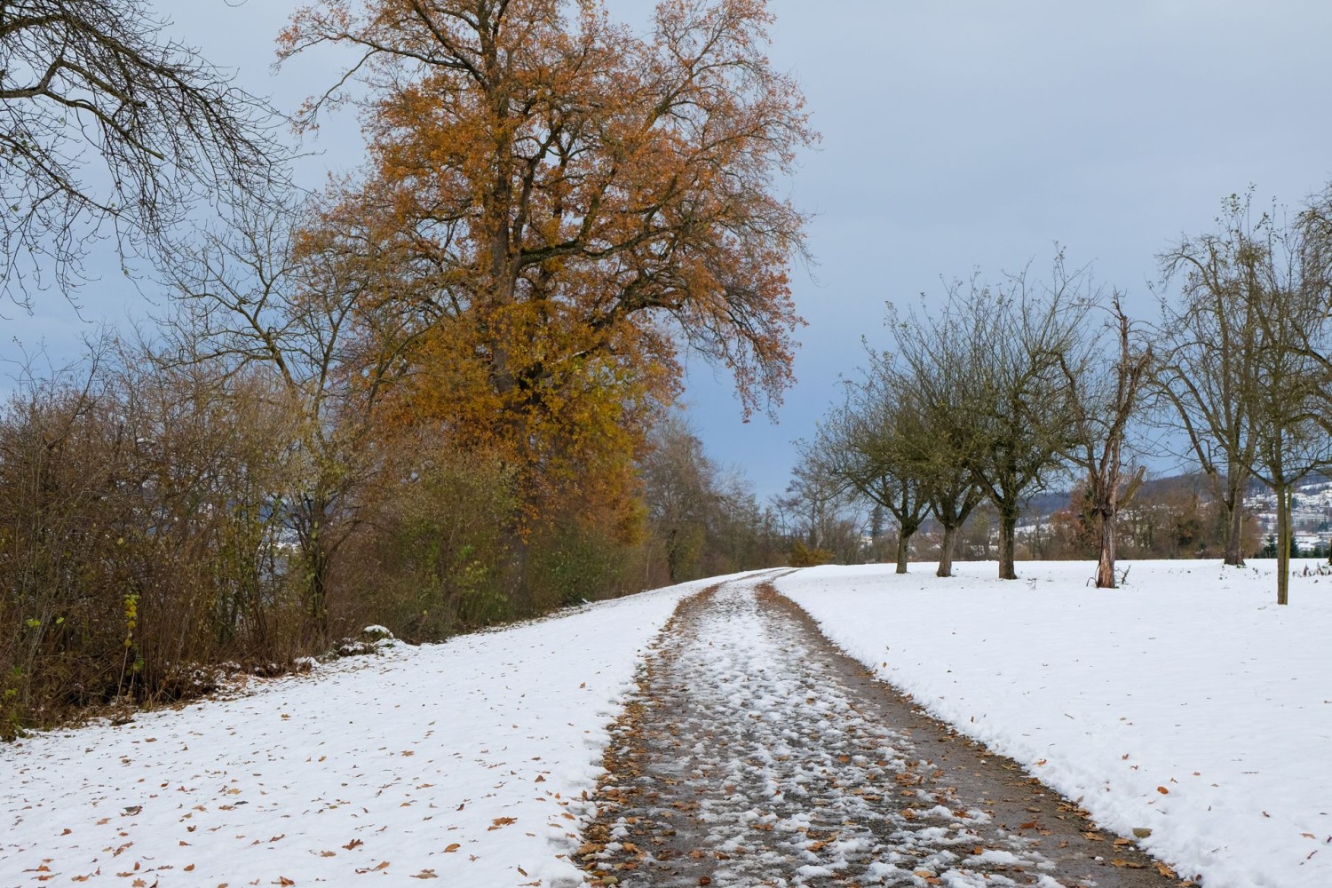 Le chemin longeant le lac de Baldegg a de belles dimensions.