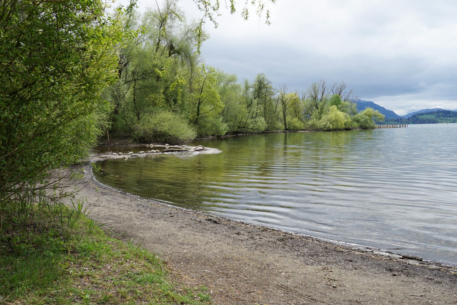 Zwischen Zug und Cham hat die Lorze ein grosses Delta im See gebildet.