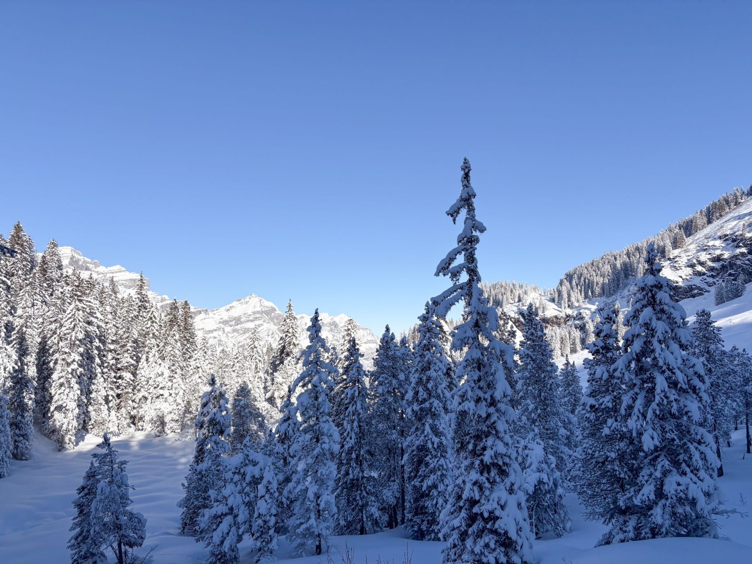 Schatten- und Lichtspiele setzen Kontraste.