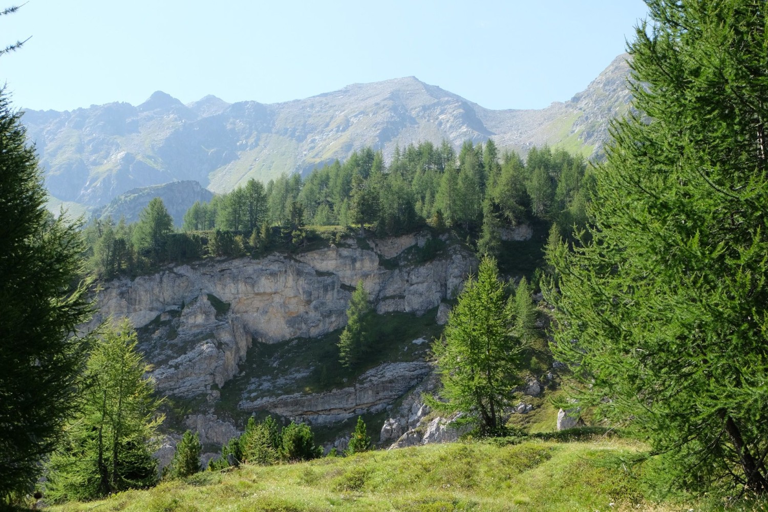 Der Weg verläuft nun hoch über der Schlucht des Ri da Larècc. Noch säumen Bäume den Weg.