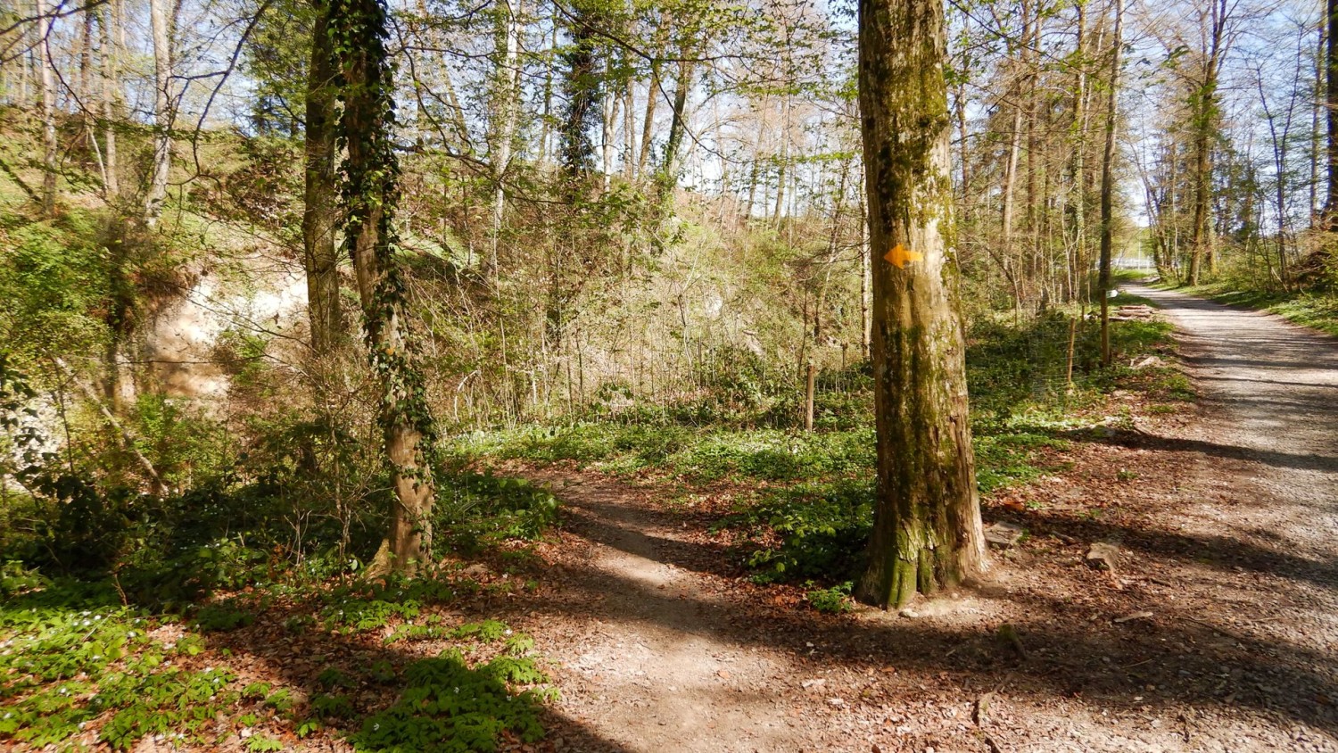 Diramazione verso il Chlusgrabe.