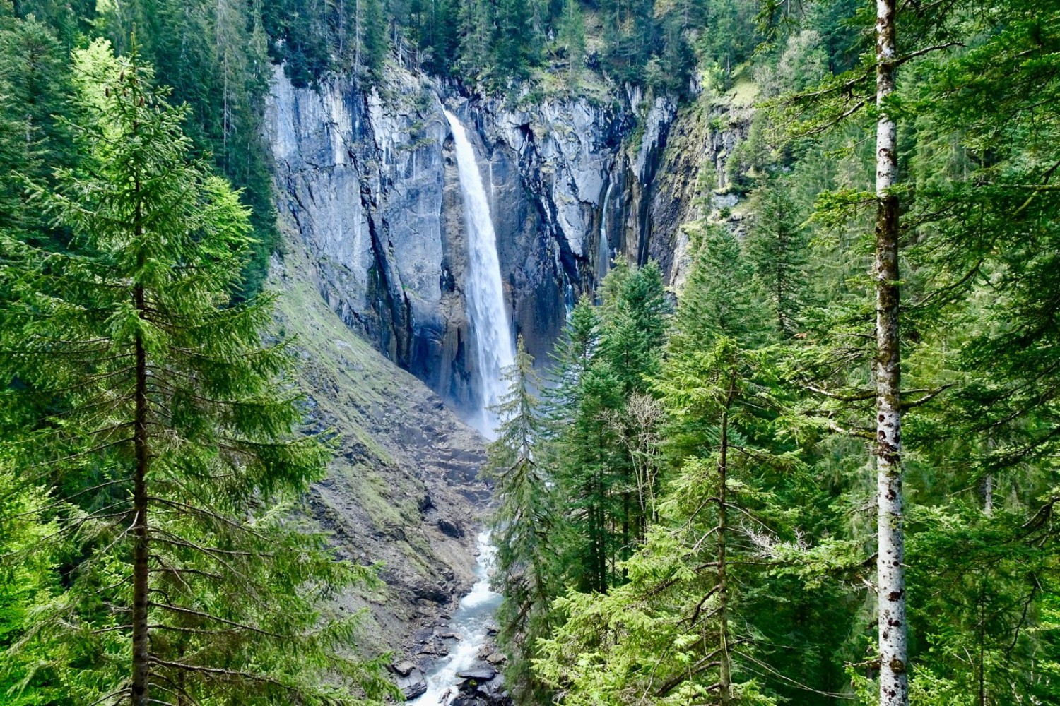 Der Pochtenfall.