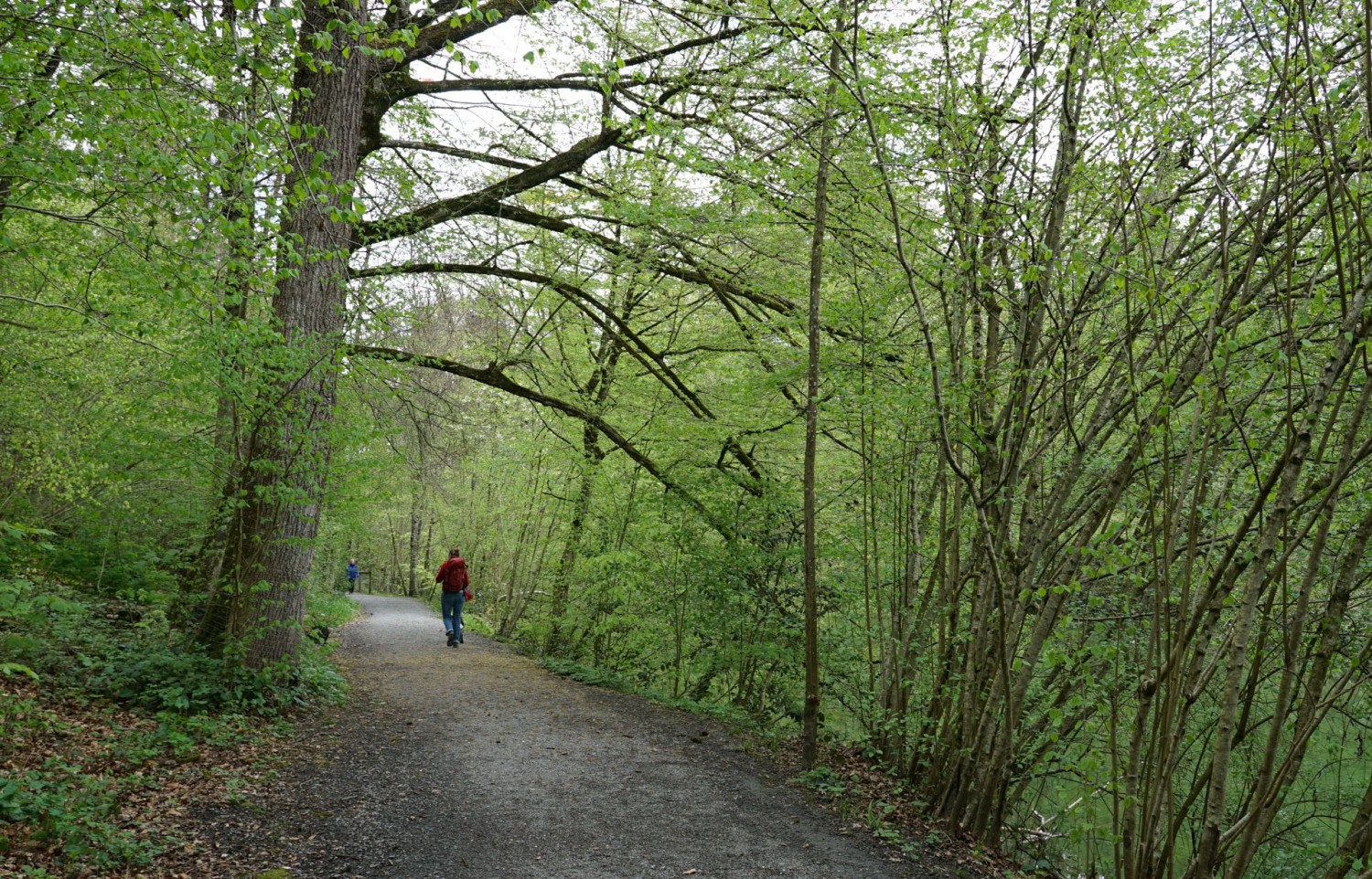 Neben Zeugen der Industriegeschichte gibt es an der Lorze auch viel Natur.