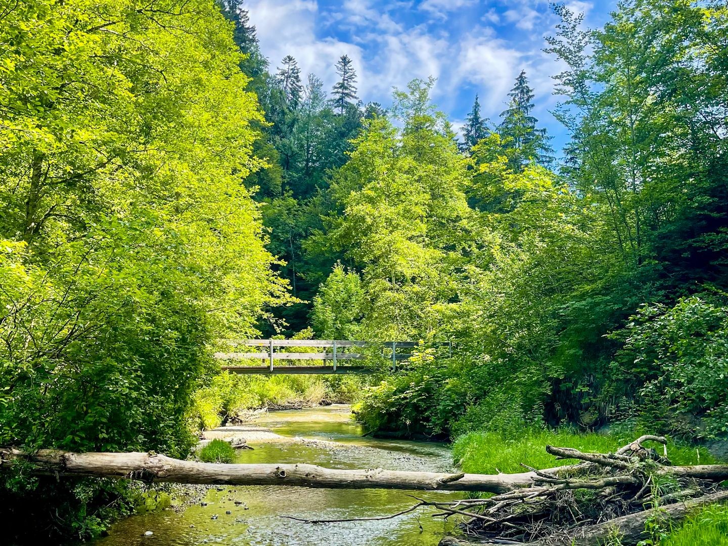 Während der Schluchtenwanderung werden unzählige Holzbrücken überquert.