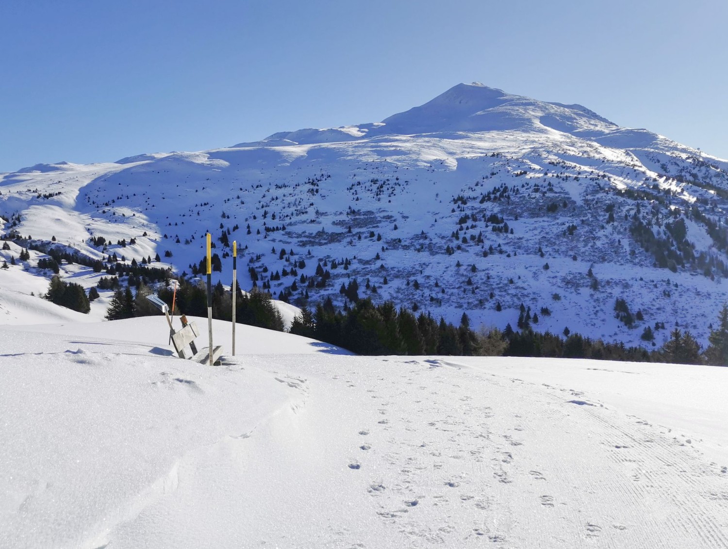 Zwischen der Alp dil Plaun und der Alp Raguta, Blick zum Fulhorn.