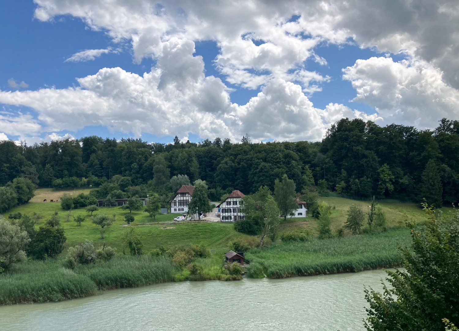 An der Aare betreibt die Universität Bern Forschung über Wanderratten.