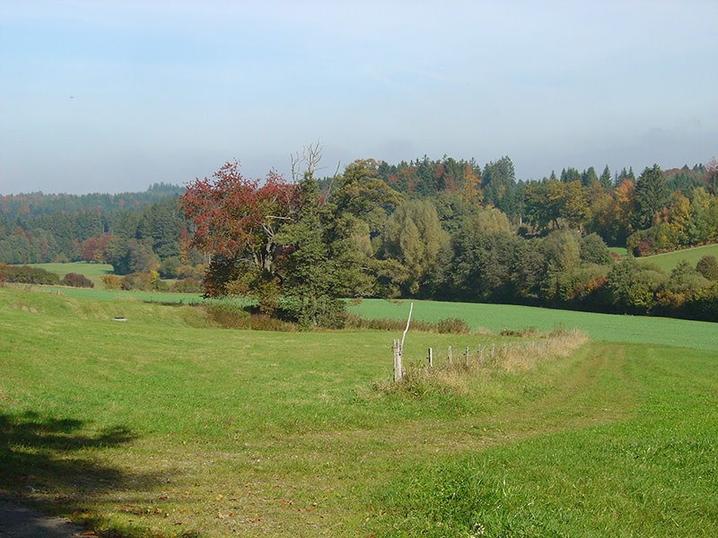 In der Umgebung von Chalet-à-Gobet