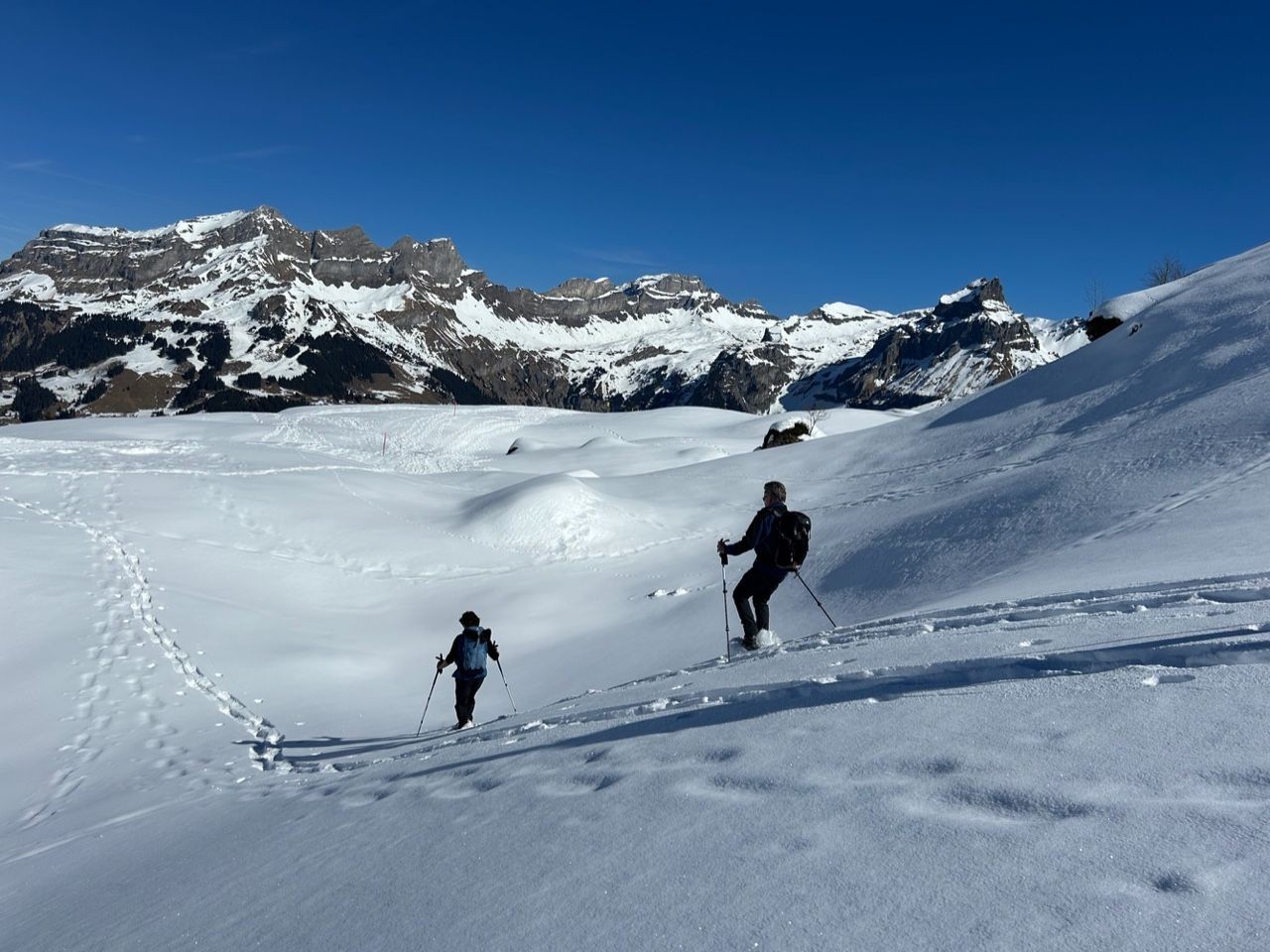 Foto: M. Grossrieder