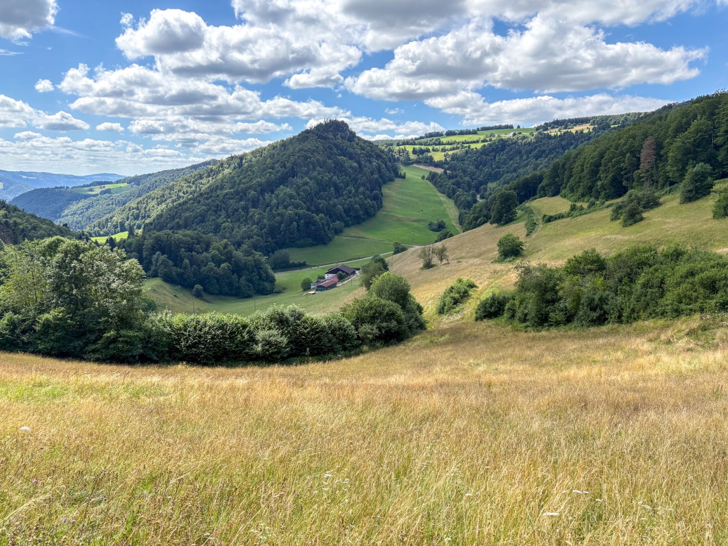 Blick auf die liebliche Hügellandschaft des Juras.